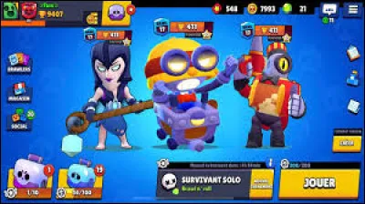 Quel est ce jeu vidéo ?