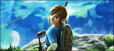 Quel est ce jeu vidéo ?