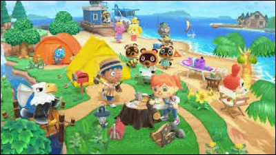 Quel est ce jeu vidéo ?