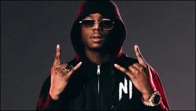 Sur quel album est-il accompagné de Ninho sur "Distant" ?