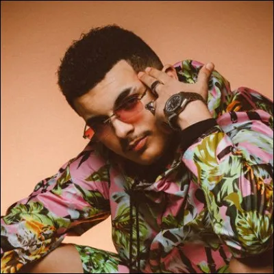 Sur quel album de RK, se situe le feat Maes/RK "Euros" ?