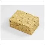 Les ponges naturelles sont-elles animales, vgtales ou minrales ?