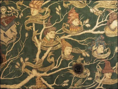 Quel lien familial Bellatrix Lestrange entretient-elle avec Sirius Black ?