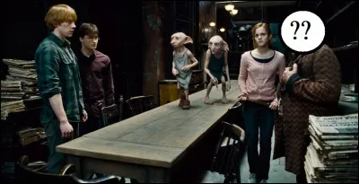 Quel personnage est amené de force dans la maison des Black par Dobby & Kreattur à la demande d'Harry ?