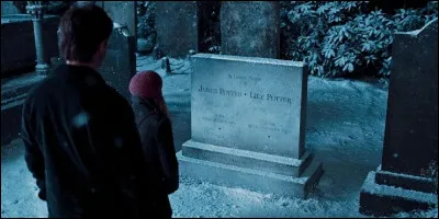 Quel "supposé" personnage accueille Harry & Hermione lors de leur passage à Godric's Hollow ?