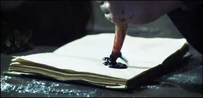 Le Journal de Tom Jedusor est...