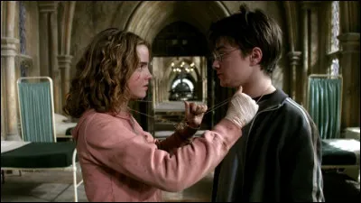 Selon Dumbledore, combien de fois Hermione doit-elle tourner le Retourneur de Temps pour pouvoir sauver Buck & Sirius Black ?