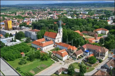 Dans quel pays se trouve Virovitica, ville de 20 000 habitants ?