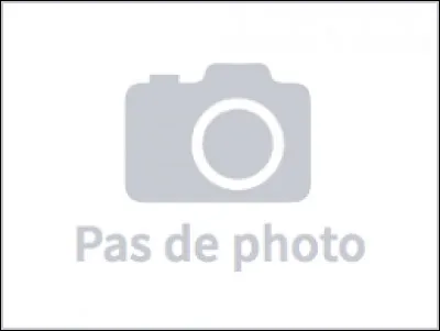 Combien de fils a Naruto ?