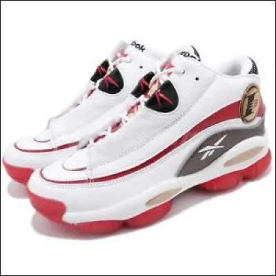 Allen Iverson a beaucoup porté cette légendaire paire de :