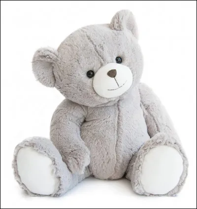 En anglais, ours en peluche se dit "teddy bear".
En référence à quelle personnalité s'appelle-t-il ainsi ?