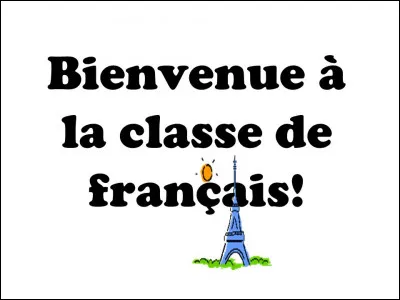 Quelle phrase est correcte ?