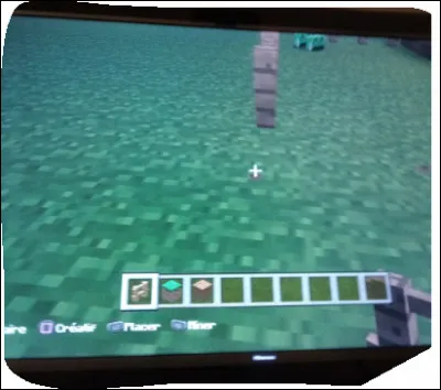 L'Ender dragon est la plus grande entité de Minecraft mais quelle est la plus petite ?