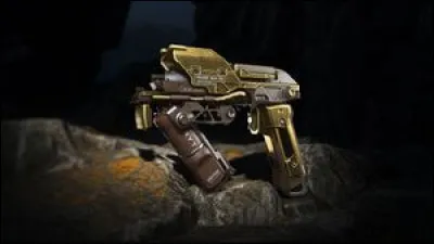 Lequel de ces objets n'existe pas dans Star Citizen ?