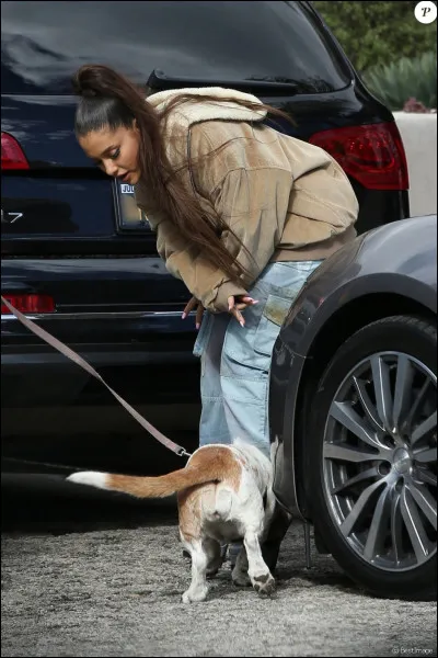 Combien vivent chez ses amis ?