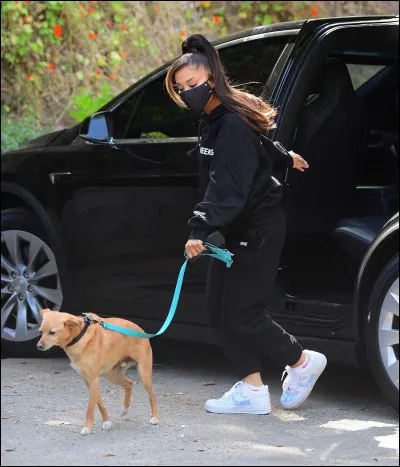 Cite le nom de ses chiens