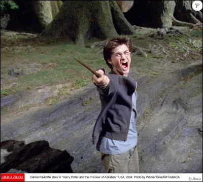 Quel est le Patronus de Harry ?