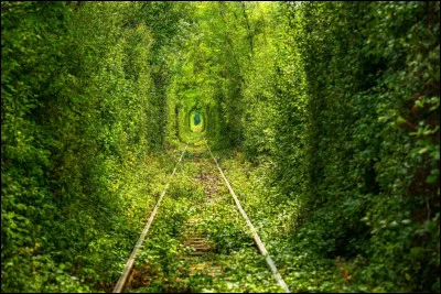 Voici le "tunnel de l'amour", ancienne voie ferrée désaffectée désormais devenue un sentier de promenade, près de la localité de Klevan, dans l'Oblast de Rivne. Dans quel pays sommes-nous ?