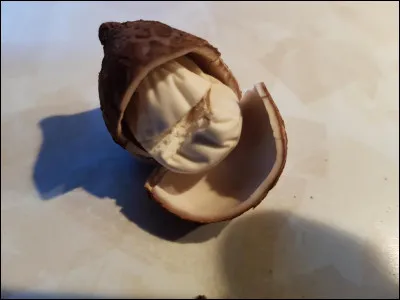 Que voit-on sur cette photo ?