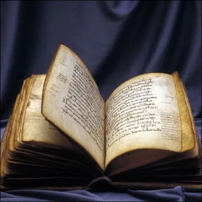 Quelle est la langue officielle de l'Espagne (l'espagnol) ?