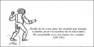 Quelle sanction prend l'arbitre pour cette faute ? Le carton...