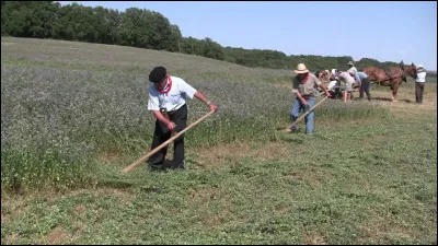 Grâce à ce quiz, j'espère que je vais gagner plein de radizz, ça tomberait bien, en ce moment je suis ...comme les ... !