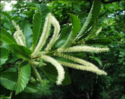 Dernièrement j'ai vu deux étudiants sortir de la fac, très énervés, l'un d'eux a pris ... !