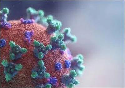 On peut dire aussi "la Covid-19".