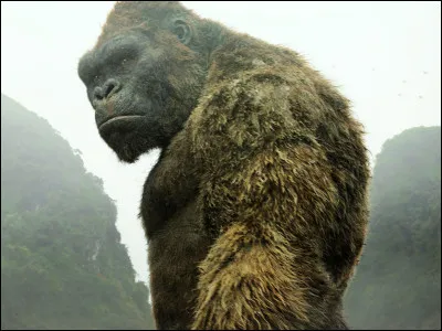 Quel est le deuxième adversaire de Kong après les hélicoptères dans "Kong : Skull Island" ?