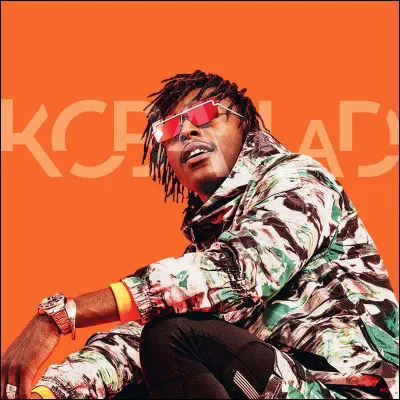 Avec quel rappeur, Koba LaD, a-t-il écrit le titre "La Vivance" ?