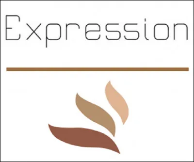 Que signifie l'expression ''jeter son bonnet par dessus les moulins'' ?