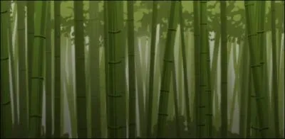 Dans quel anim trouve-t-on Taeko ?