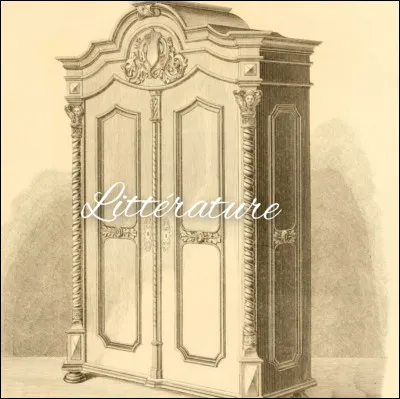 Que signifie l'expression "être une armoire à glace" ?