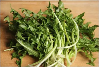 Quelle est cette plante vivace à fleur jaune dont les feuilles sont comestibles, oblongues et dentées, que l'on mange en salade ?