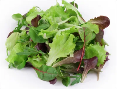Quel est ce mélange de différentes plantes potagères que l'on consomme en salade ?