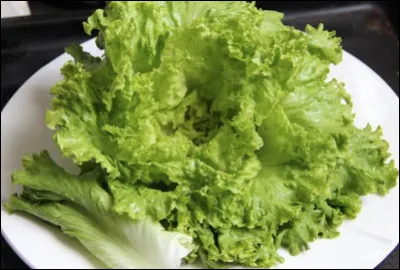Quelle est cette laitue, une salade aux feuilles généreuses et très découpées ?