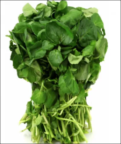 Quelle est cette plante des lieux humides à tige rampante, à feuilles en lobes, à saveur piquante, que l'on consomme en salade ?