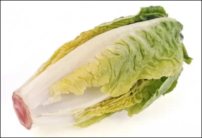 Quelle est cette petite laitue, une salade aux feuilles charnues, fondantes et croquantes ?