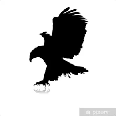 Un beau jour vous trouverez la réponse, à moins que ce ne soit une nuit, alors ne vous endormez pas !