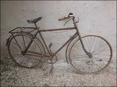 De sauterelles, de papillons et de rainettes !