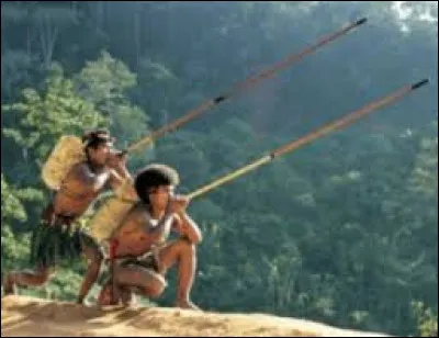 Soufflez très fort et la réponse viendra !