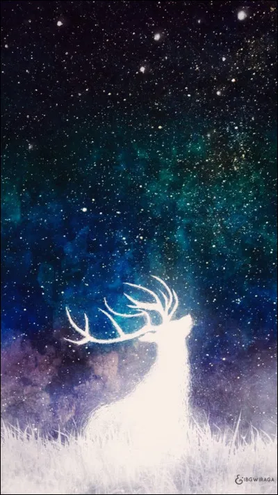 Quel animal préfères-tu ?