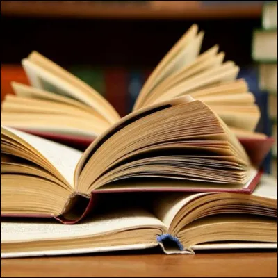 Quel genre de livre lit-il ?