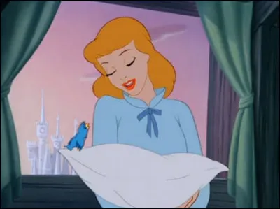 L'effet "Cendrillon" > C'est la tentation de vouloir toucher ou approcher quelque chose de dangereux (comme des braises recouvertes de cendres) tout en le sachant !