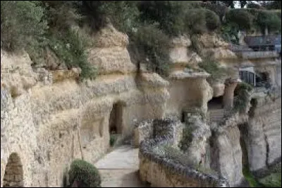 Comment appelle-t-on ces habitats ?