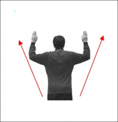 Que signifie le geste de l'arbitre ?