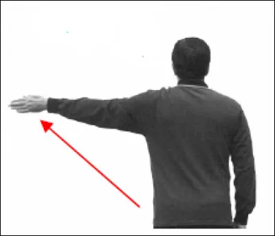 Que signifie le geste de l'arbitre ?