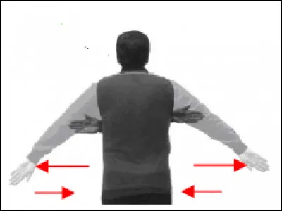 Que signifie le geste de l'arbitre ?