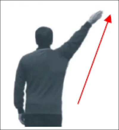 Que signifie le geste de l'arbitre ?