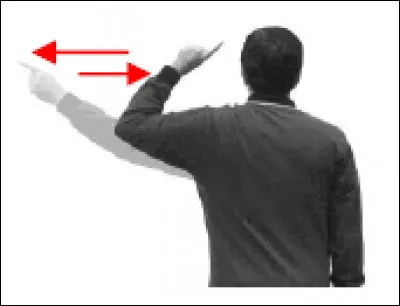 Que signifie le geste de l'arbitre ?